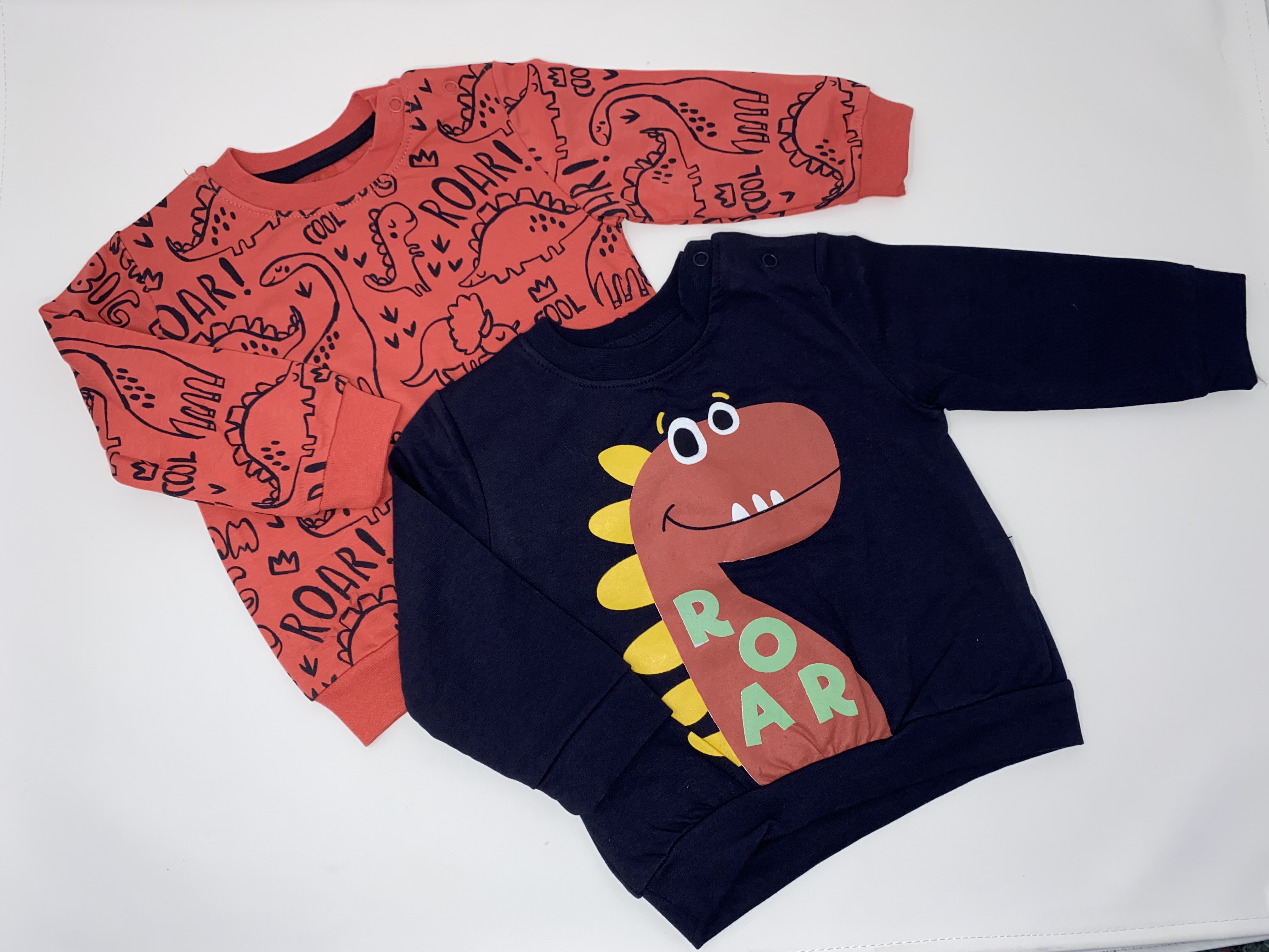 Jungs Baby / Kinder Sweat Shirt Pullover Dinosaurier Dinos Langarm